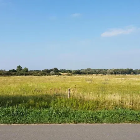Bungalow In North Holland Near The North Sea Holiday home